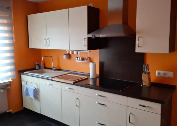 Zu Den Weinbergen בינגן אם ריין